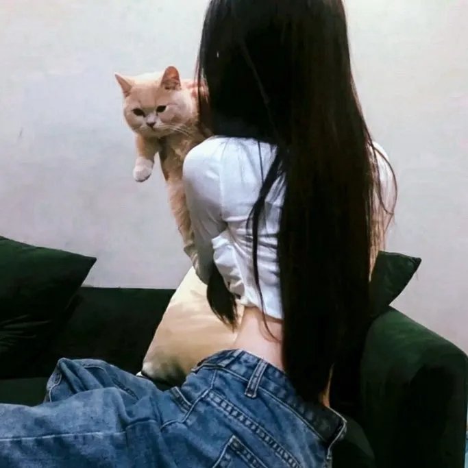 旧梦不须记粤语